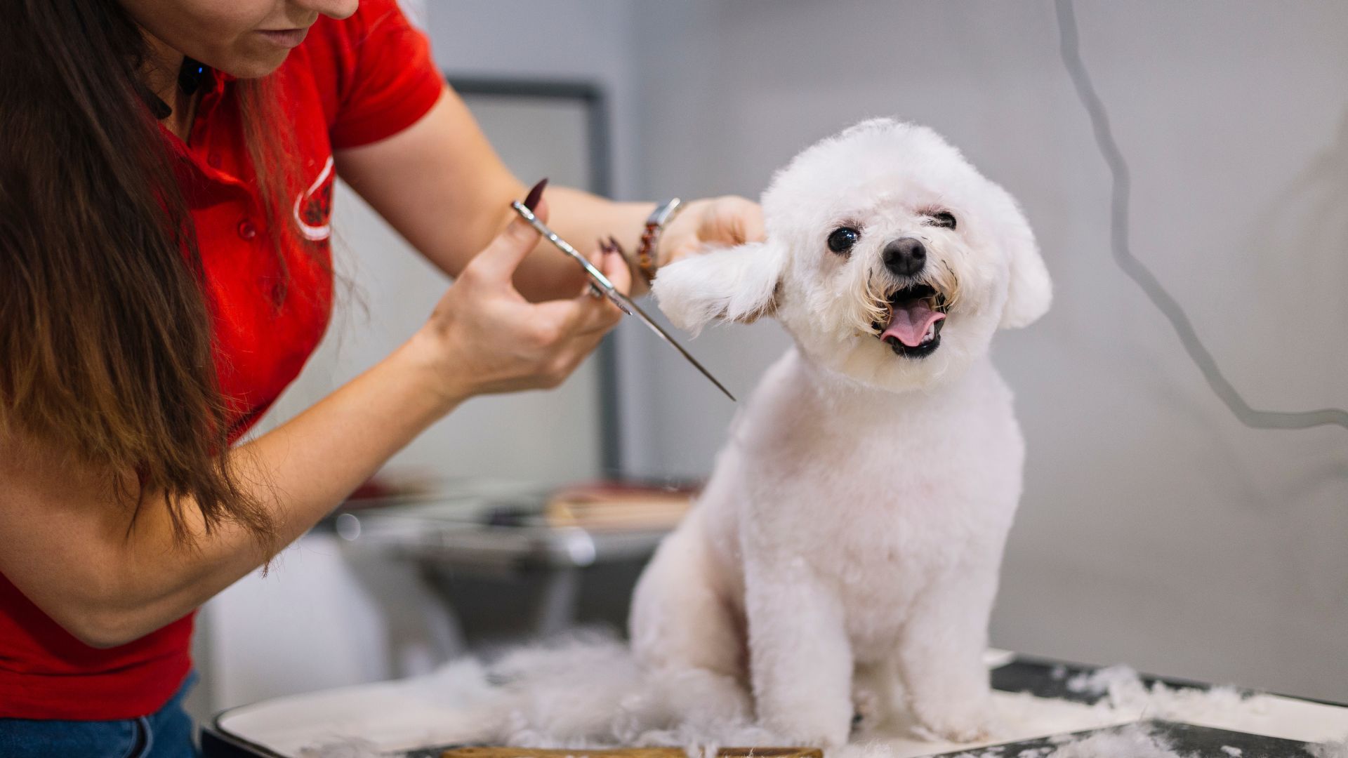 Understanding Your Pet’s Grooming Needs: Breed-Specific Advice and Care